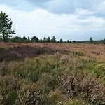 4 Person In Hovborg-by Traum Vakantiehuis *
